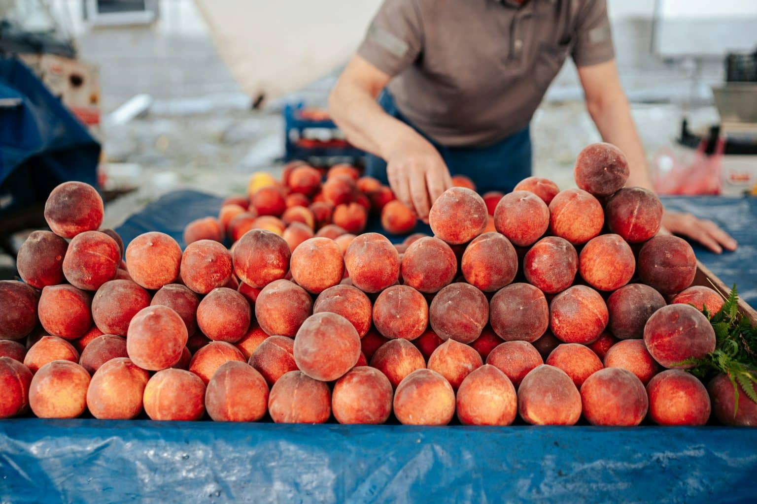 Mercat setmanal de fruita i verdura de S’Arenal