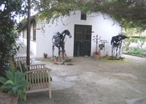 Sa Taronja. Associació Cultural