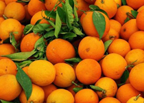 Mercado semanal de Sóller