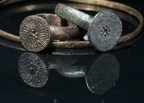 Jornada de portes obertes a Son Fornés