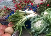 Mercat semanal de Calonge