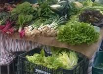 Mercat semanal de Consell