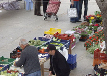 Mercat semanal de Selva