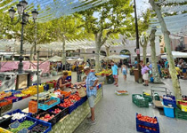 Mercadet de fruites i verdures