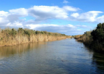 ‘El tresor de l'Albufera d’Alcúdia’ 