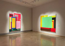 ‘Peter Halley a Espanya’ 