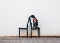 38 Palma Fotogràfica 