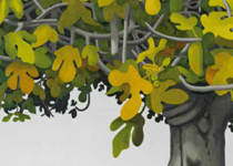 XXXI Fira Ramadera de Son Carrió 