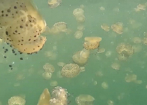 Fito Conesa & Felipe Mora 