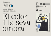 Paysage Miró. El color i la seva ombra