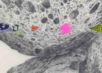 Ester Partegàs – Arquitectura menor