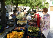 Mercadillo de Caimari 