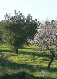 Diada de la Naturaleza