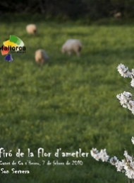 Feria de la Flor de Almendro