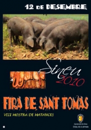 Feria de Santo Tomás y Muestra de Matanzas
